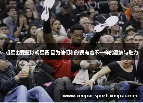 明星也爱篮球明星赛 因为他们和球员有着不一样的激情与魅力